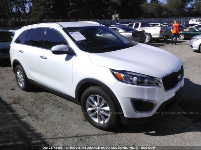 Vin kia sorento