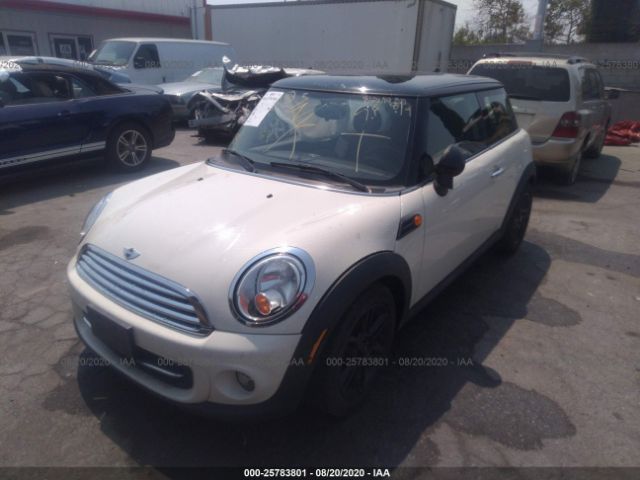 Global Auto Auctions