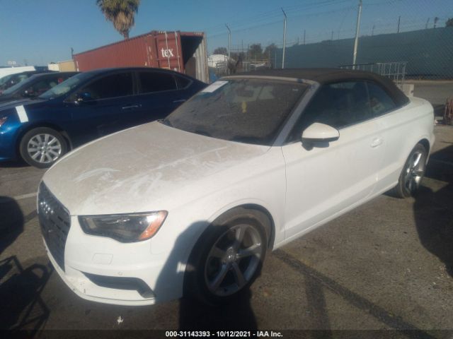 Global Auto Auctions