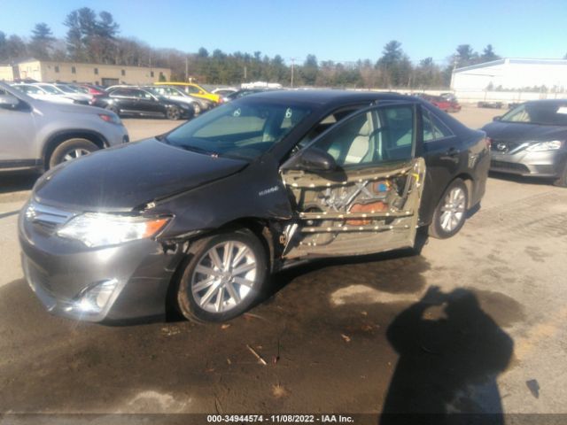 Global Auto Auctions