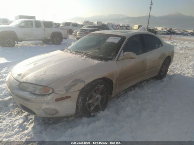 Global Auto Auctions