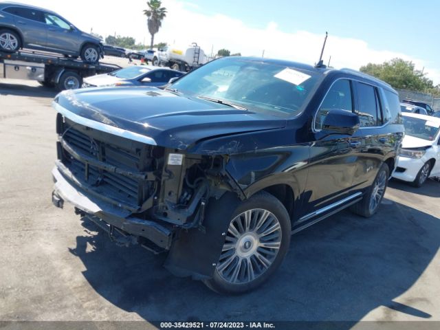 Global Auto Auctions