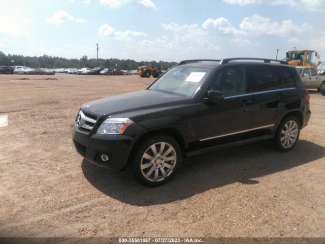 Global Auto Auctions