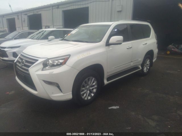 Global Auto Auctions