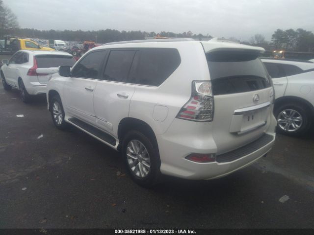 Global Auto Auctions