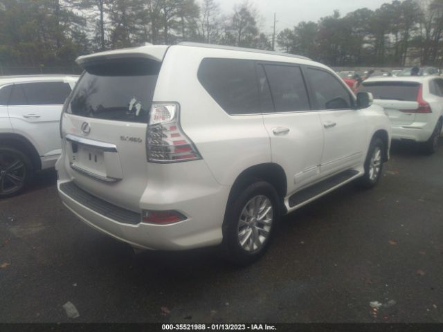 Global Auto Auctions