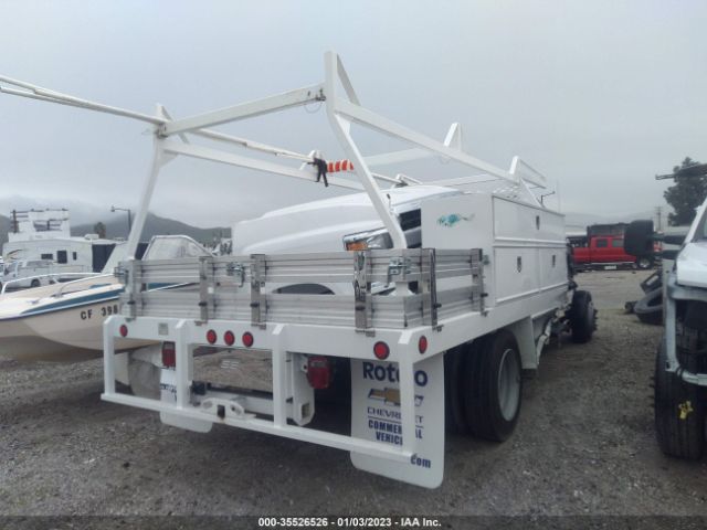 Global Auto Auctions