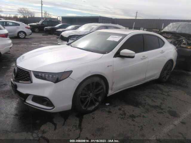 Global Auto Auctions