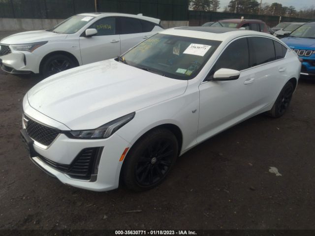 Global Auto Auctions