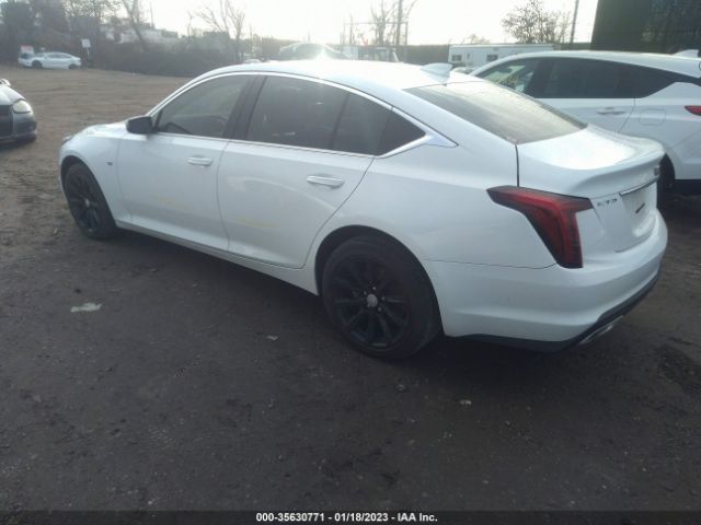 Global Auto Auctions