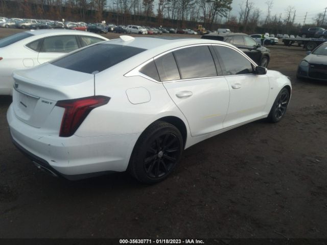 Global Auto Auctions