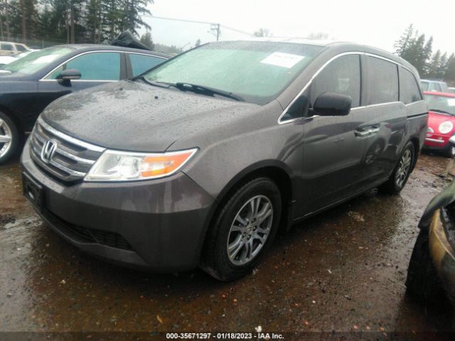 Global Auto Auctions