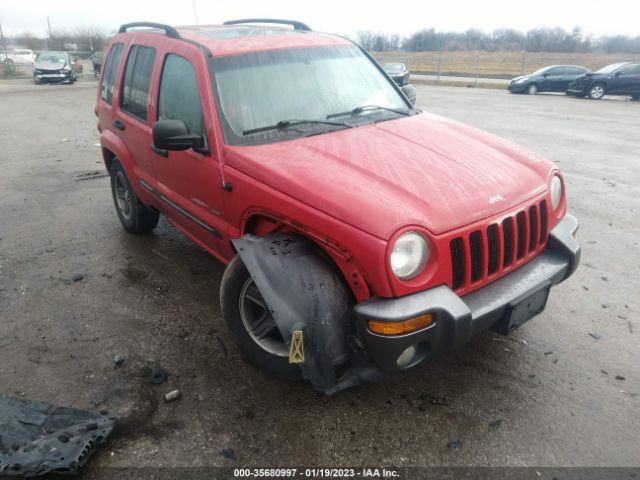 Global Auto Auctions: 2004 JEEP SPORT