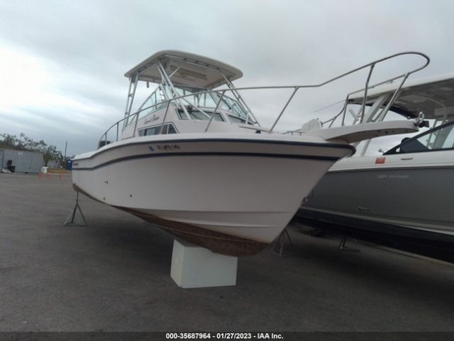 Global Auto Auctions: 1999 GRADY WHITE 