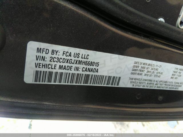 Global Auto Auctions