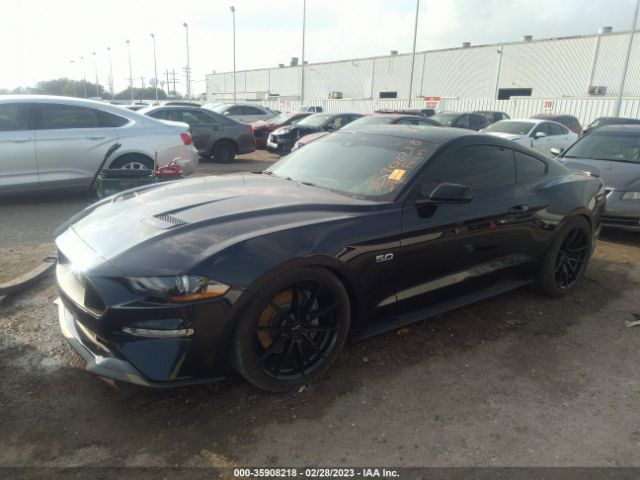 Global Auto Auctions