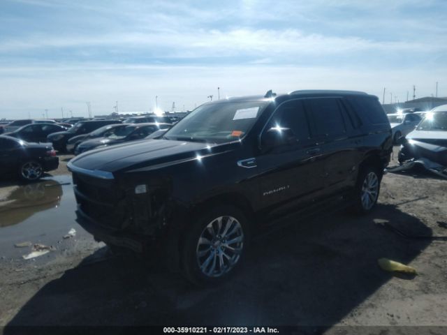 Global Auto Auctions