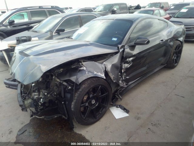 Global Auto Auctions