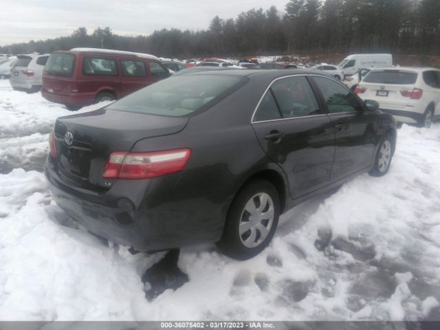 Global Auto Auctions