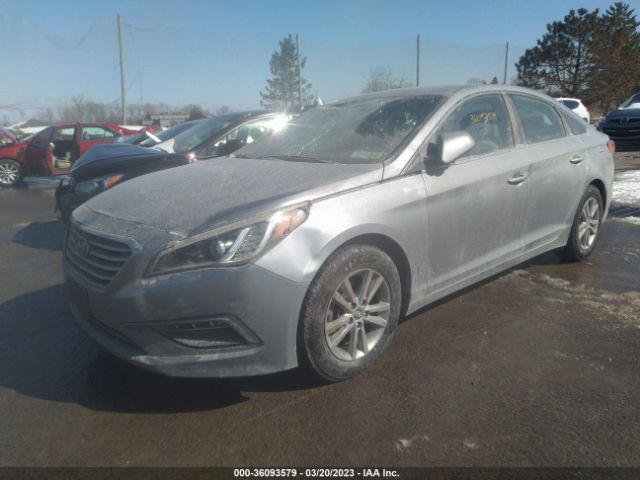 Global Auto Auctions