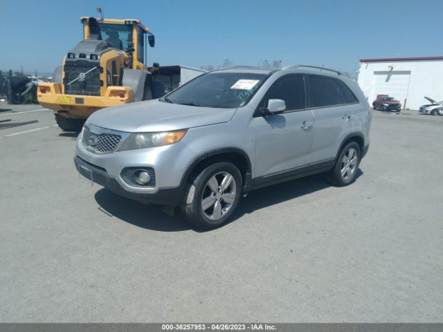 Global Auto Auctions