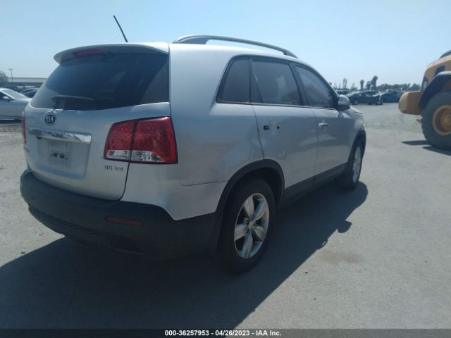 Global Auto Auctions