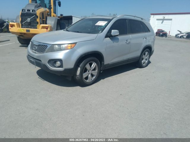 Global Auto Auctions