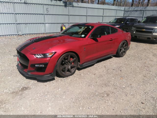 Global Auto Auctions