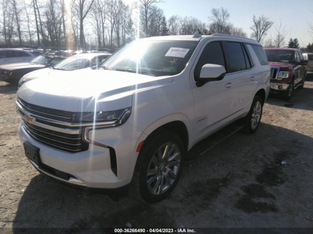 Global Auto Auctions