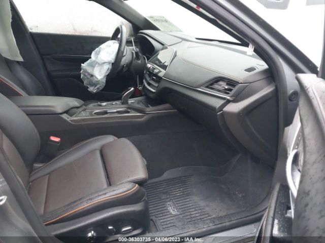 Global Auto Auctions