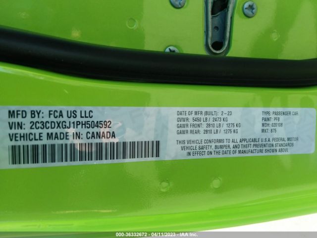 Global Auto Auctions