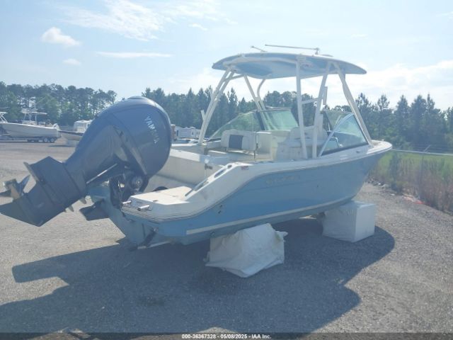 Global Auto Auctions