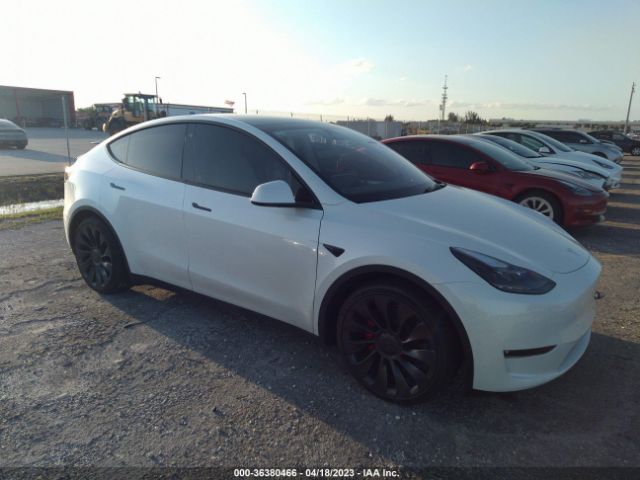 TESLA MODEL Y