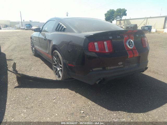 Global Auto Auctions