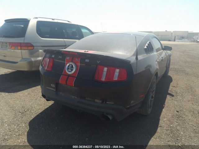 Global Auto Auctions