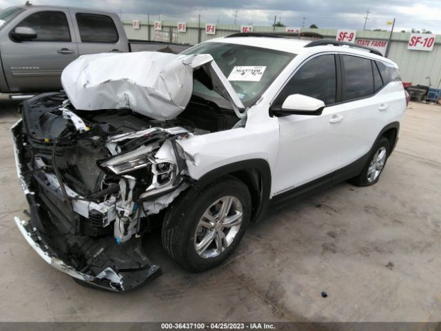 Global Auto Auctions