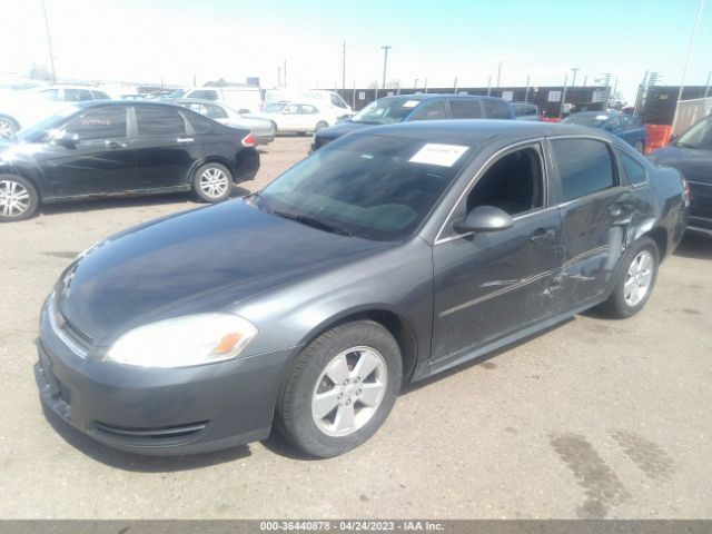 Global Auto Auctions