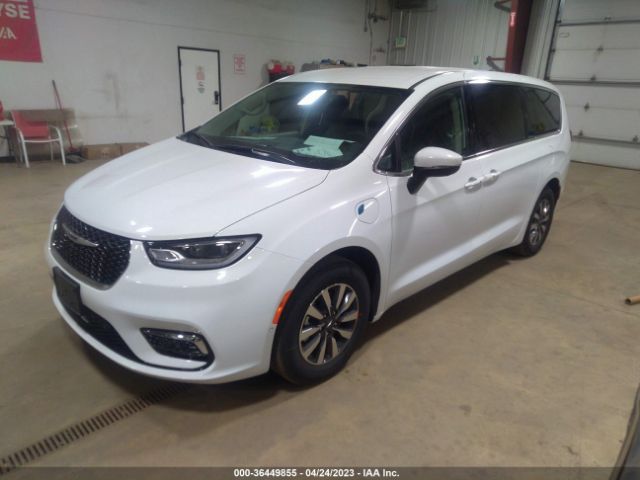 Global Auto Auctions