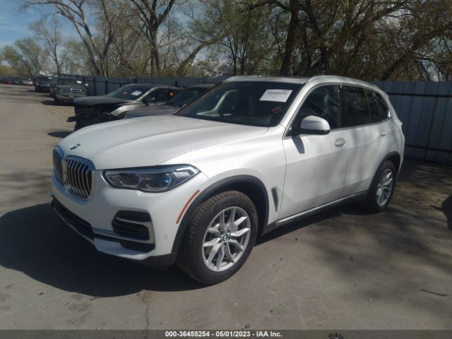 Global Auto Auctions