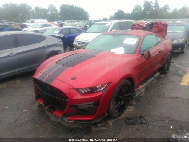 Global Auto Auctions