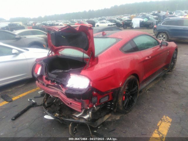 Global Auto Auctions