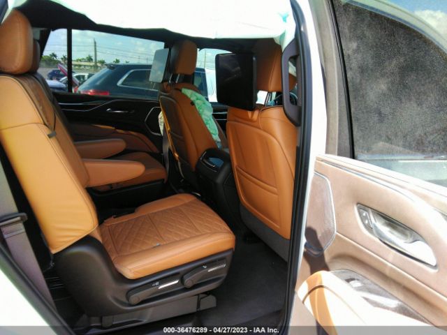 Global Auto Auctions