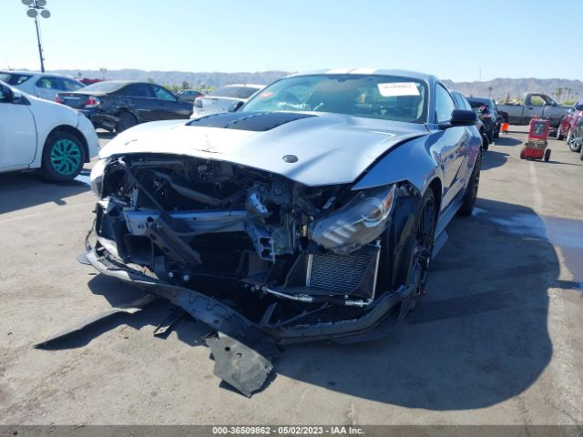 Global Auto Auctions