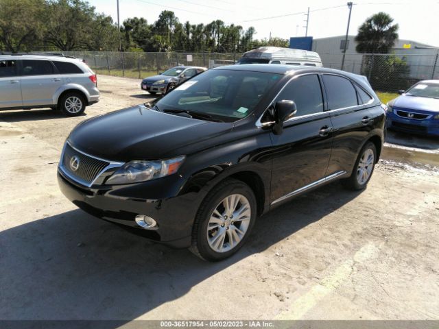 Global Auto Auctions