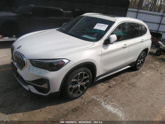 Global Auto Auctions