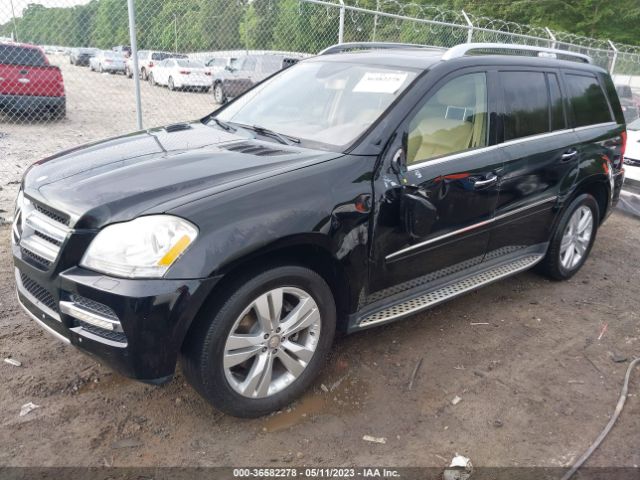 Global Auto Auctions