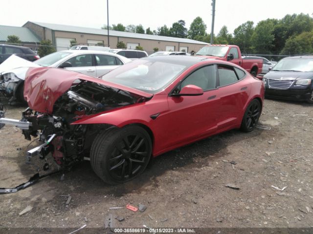 Global Auto Auctions