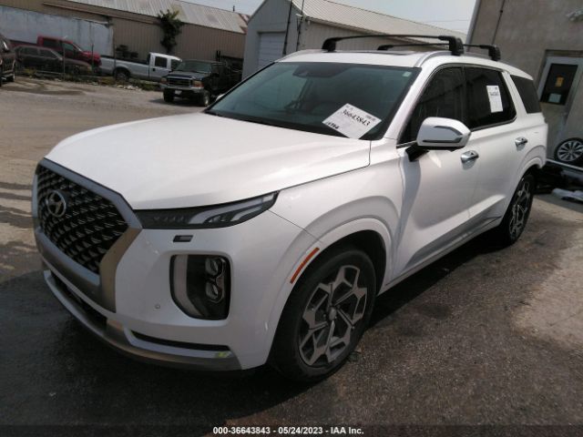 Global Auto Auctions