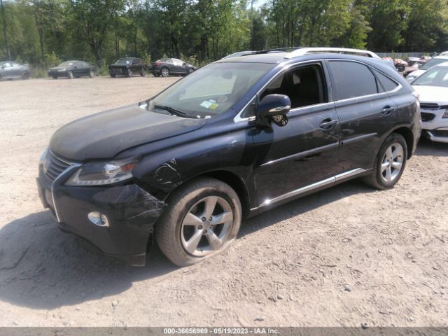 Global Auto Auctions