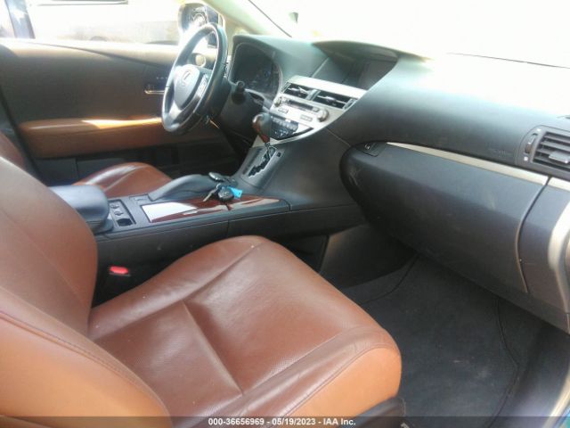 Global Auto Auctions